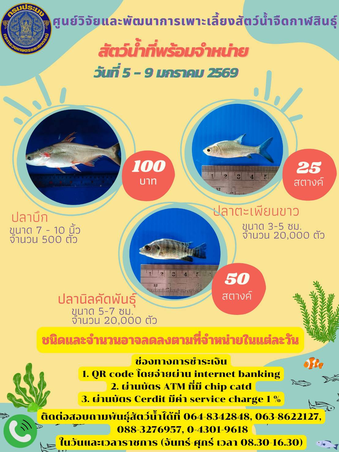 สัตว์น้ำที่พร้อมจำหน่าย