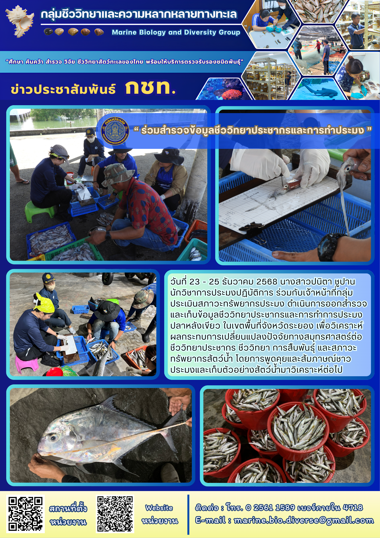 วันที่ 23 - 25 ธันวาคม 2568 นางสาวปนิตา ชูปาน นักวิชาการประมงปฏิบัติการ ร่วมกับเจ้าหน้าที่กลุ่มประเมินสภาวะทรัพยากรประมง ดำเนินการออกสำรวจและเก็บข้อมูลชีววิทยาประชากรและการทำการประมงปลาหลังเขียว ฯลฯ