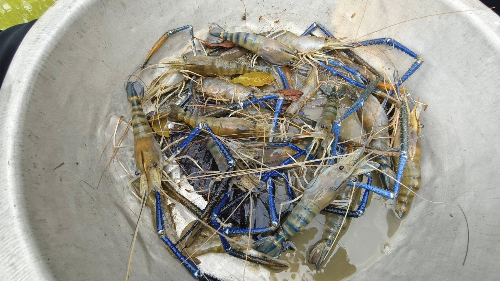 ร่วมลงพื้นที่ตรวจติดตามคำขอใช้ตราสัญลักษณ์สิ่งบ่งชี้ทางภูมิศาสตร์ 