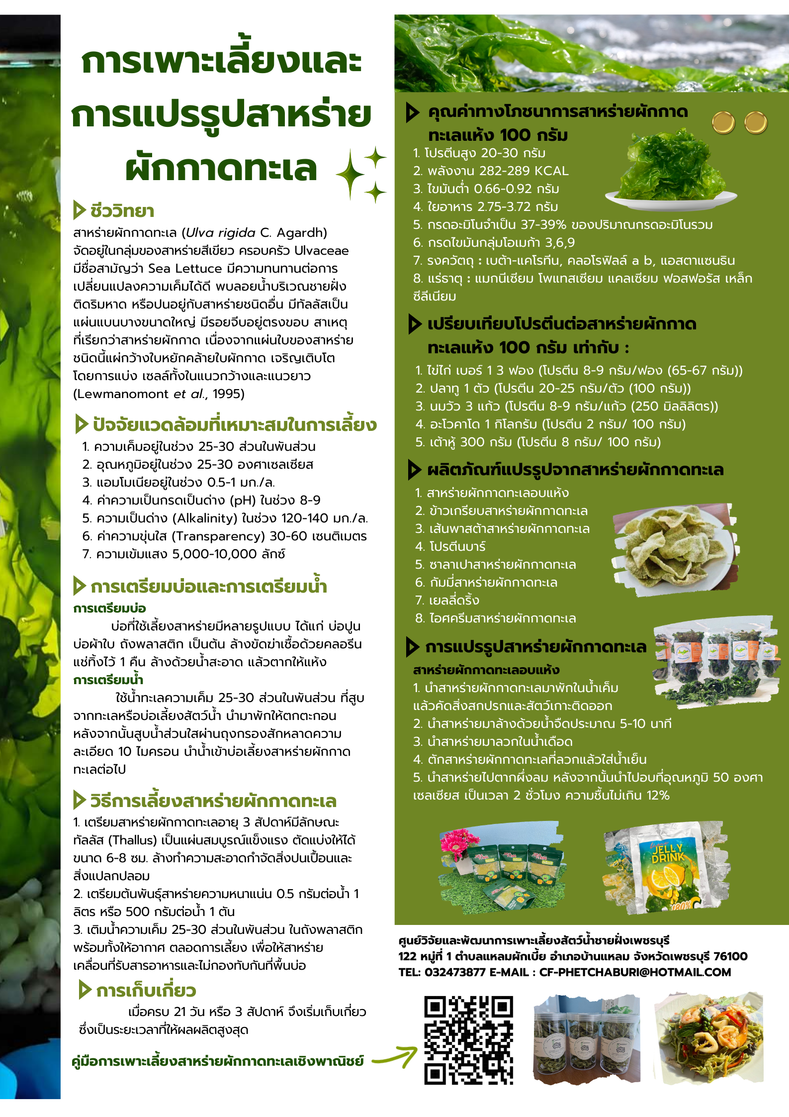 การเพาะเลี้ยงและแปรรูปสาหร่ายผักกาด