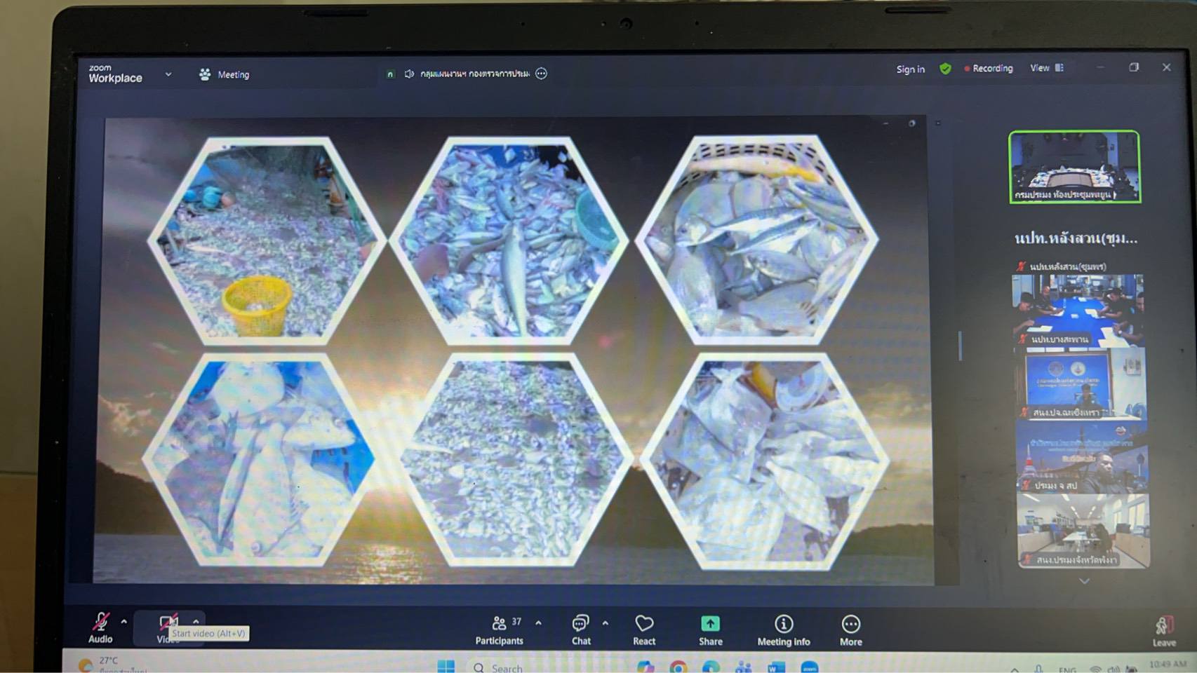 เข้าร่วมประชุมเพื่อสนับสนุนข้อมูลการดำเนินงานตามมาตรการบริหารจัดการทรัพยากรสัตว์น้ำมีไข่ วางไข่ เลี้ยงตัวอ่อน พื้นที่ทะเล ครั้งที่ 1/2569..คลิก