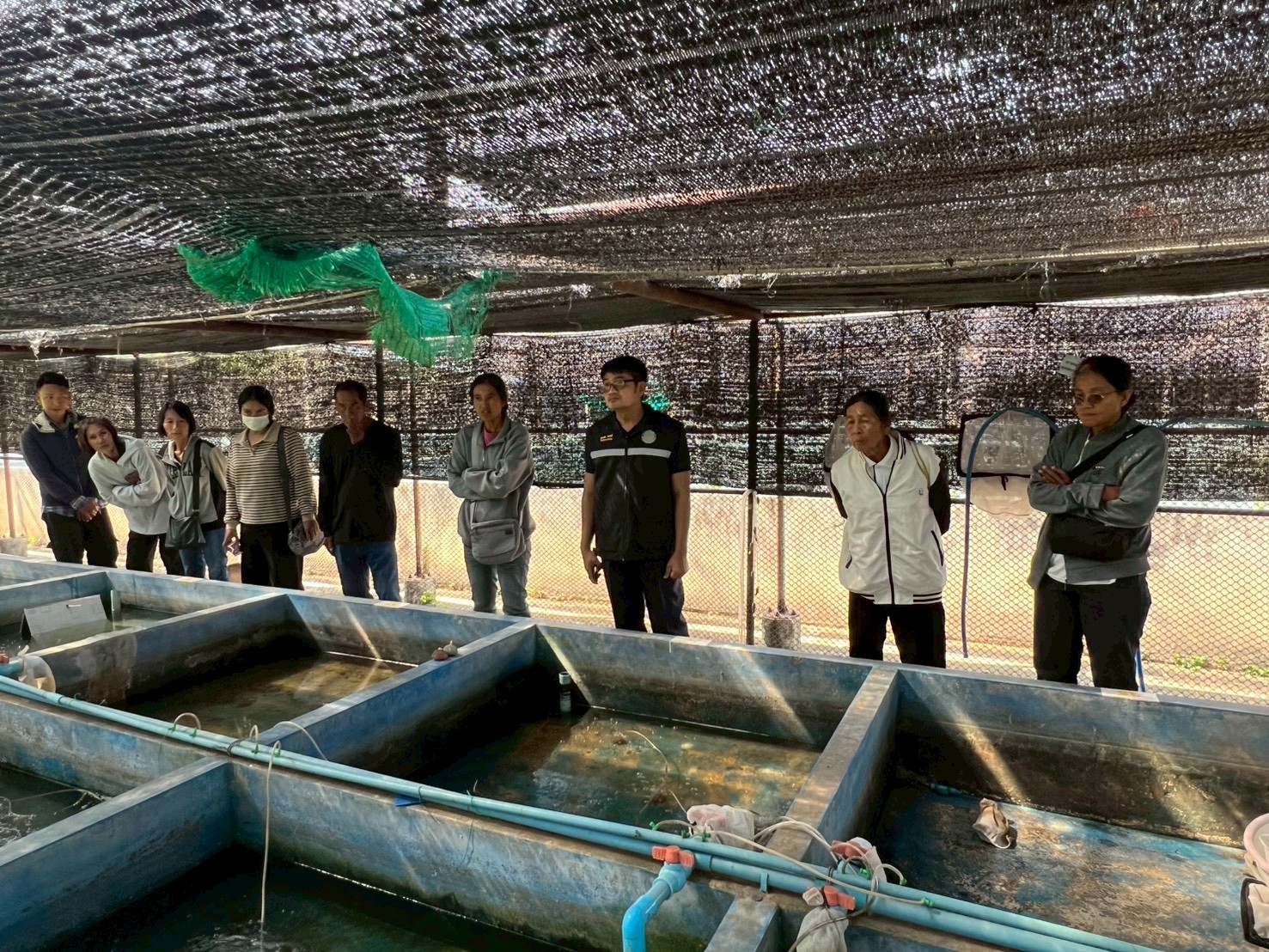 จัดฝึกอบรมเกษตรกร ในโครงการยกระดับสินค้าเกษตรมูลค่าสูง  กิจกรรมย่อยส่งเสริมการเพาะเลี้ยงและพัฒนาธุรกิจสัตว์น้ำที่มีความสำคัญทางเศรษฐกิจ (ปลาช่อน) ประจำปีงบประมาณ 2569