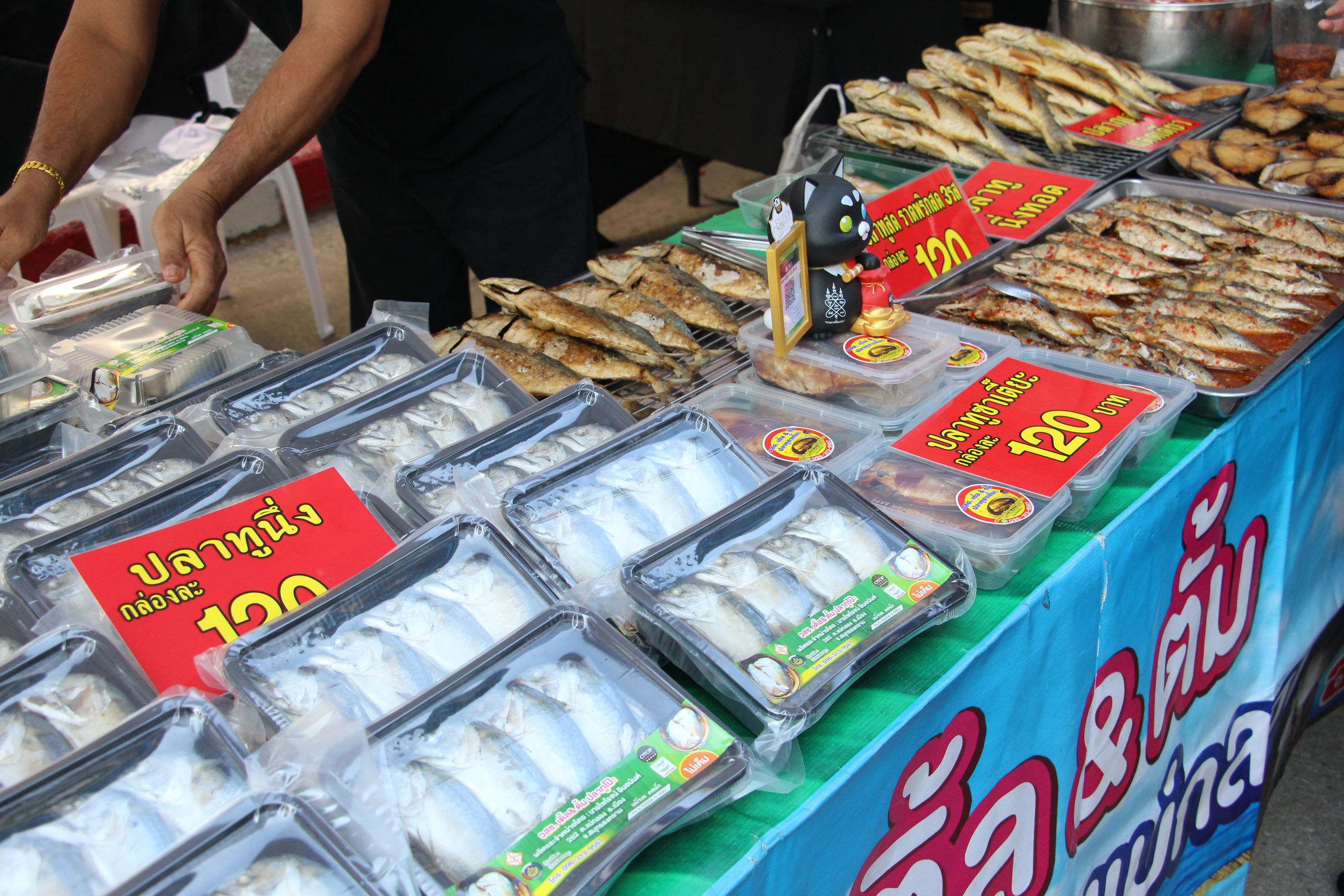 รูป ประกอบบทความ3