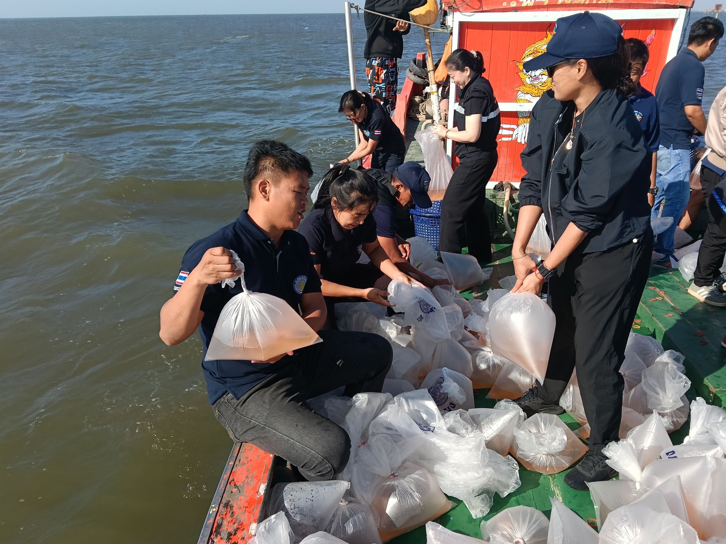 ร่วมกับชุมชนประมงท้องถิ่นบ้านสีล้ง จัดกิจกรรมปล่อยสัตว์น้ำ (กุ้งแชบ๊วย) จำนวน 2,000,000 ตัว..คลิก