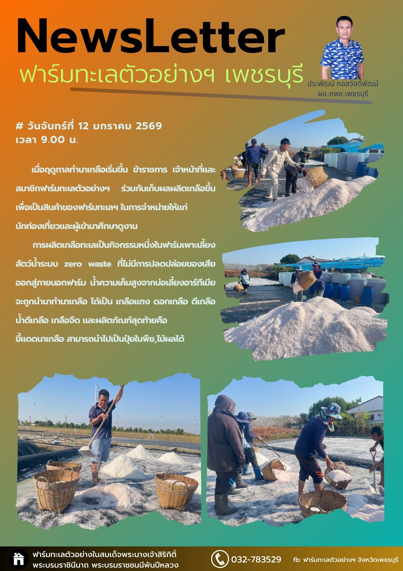 เก็บผลผลิตเกลือ