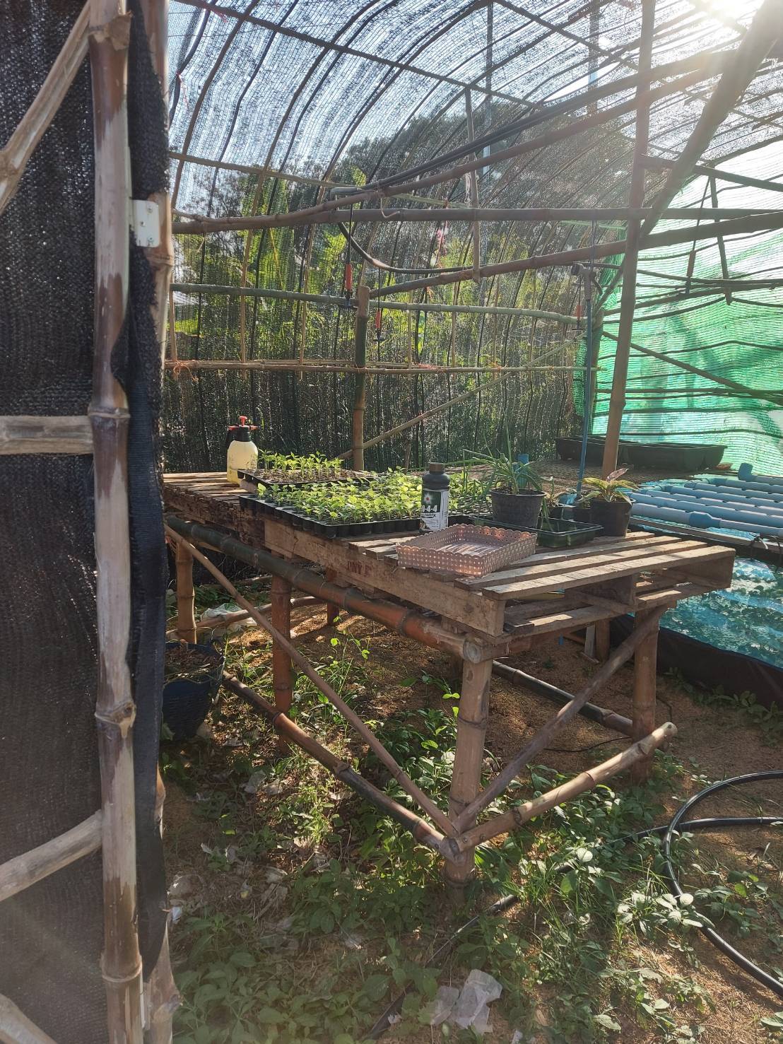 คัดเลือกศูนย์เรียนรู้ฯ เครือข่ายด้านการประมงเพื่อพัฒนาและยกระดับปีงบประมาณ 2569 ในพื้นที่ อ.จัตุรัส จ.ชัยภูมิ..คลิก