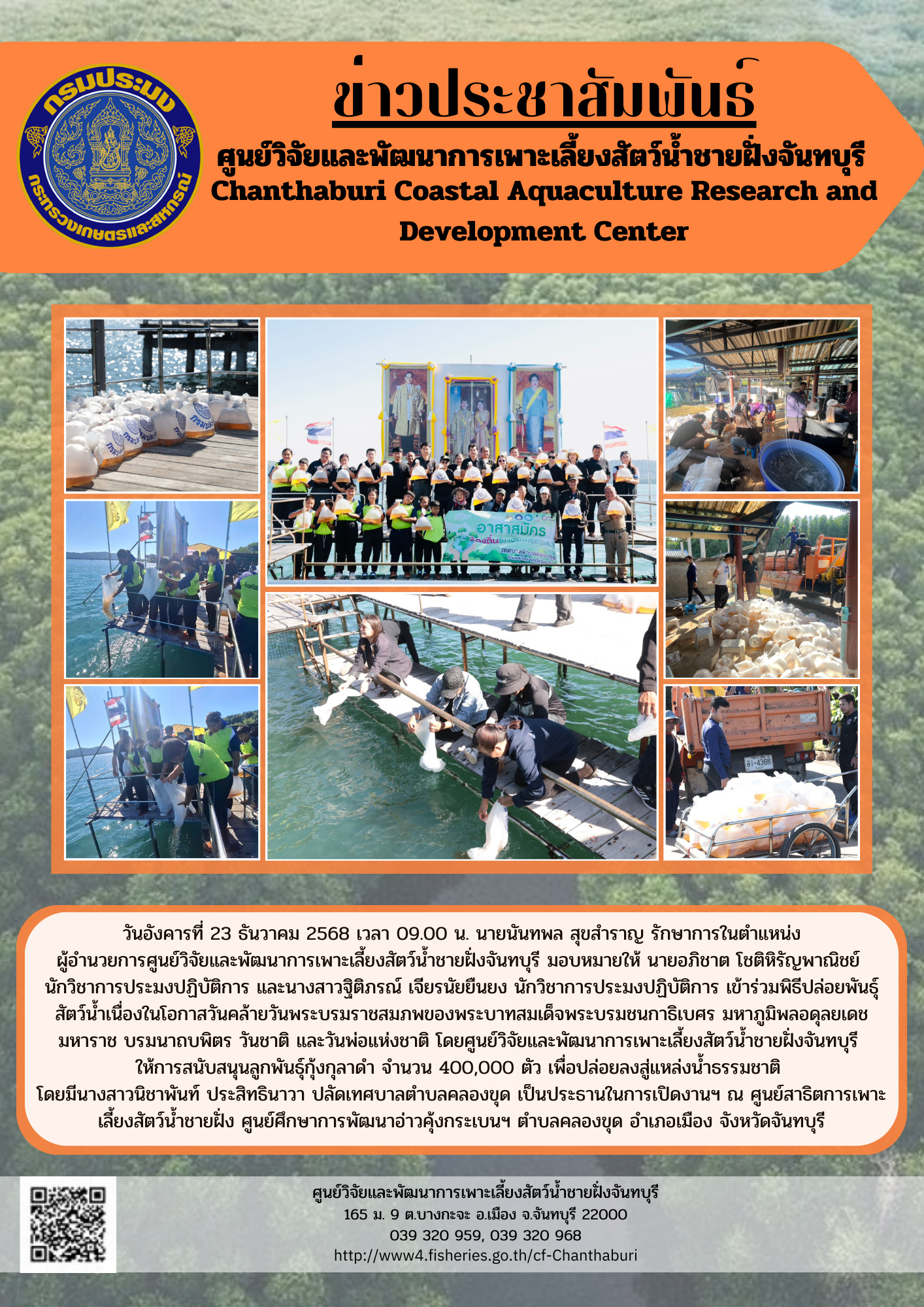 ศูนย์วิจัยและพัฒนาการเพาะเลี้ยงสัตว์น้ำชายฝั่งจันทบุรี ให้การสนับสนุนลูกพันธุ์กุ้งกุลาดำ เพื่อปล่อยลงสู่แหล่งน้ำธรรมชาติ..คลิก