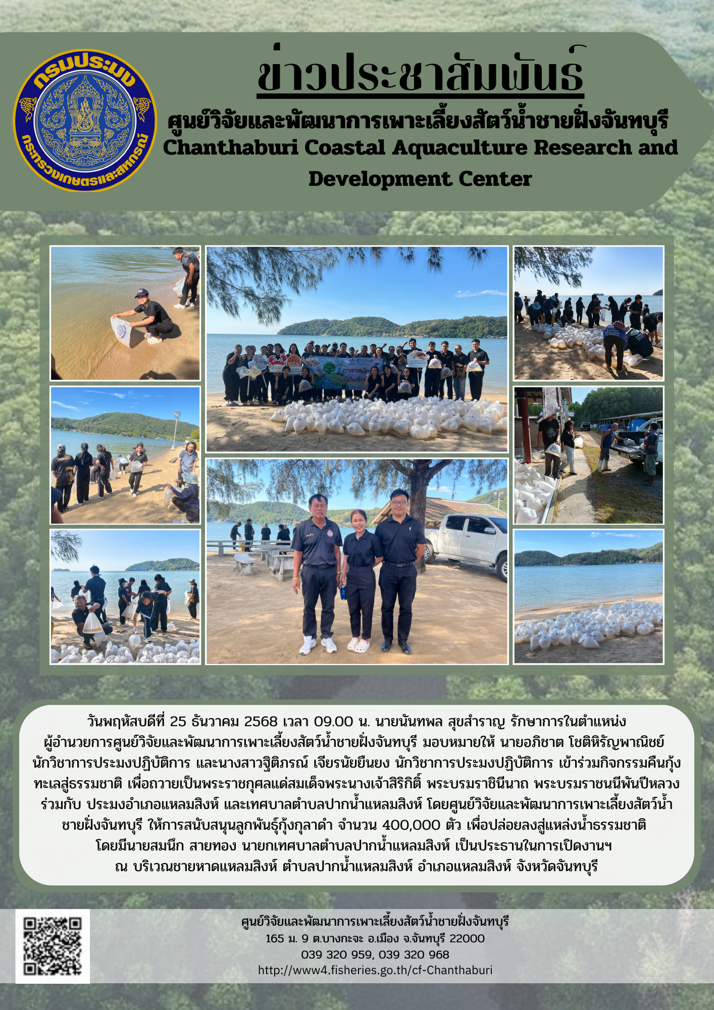 ศูนย์วิจัยและพัฒนาการเพาะเลี้ยงสัตว์น้ำชายฝั่งจันทบุรี ให้การสนับสนุนลูกพันธุ์กุ้งกุลาดำ เพื่อปล่อยลงสู่แหล่งน้ำธรรมชาติ..คลิก