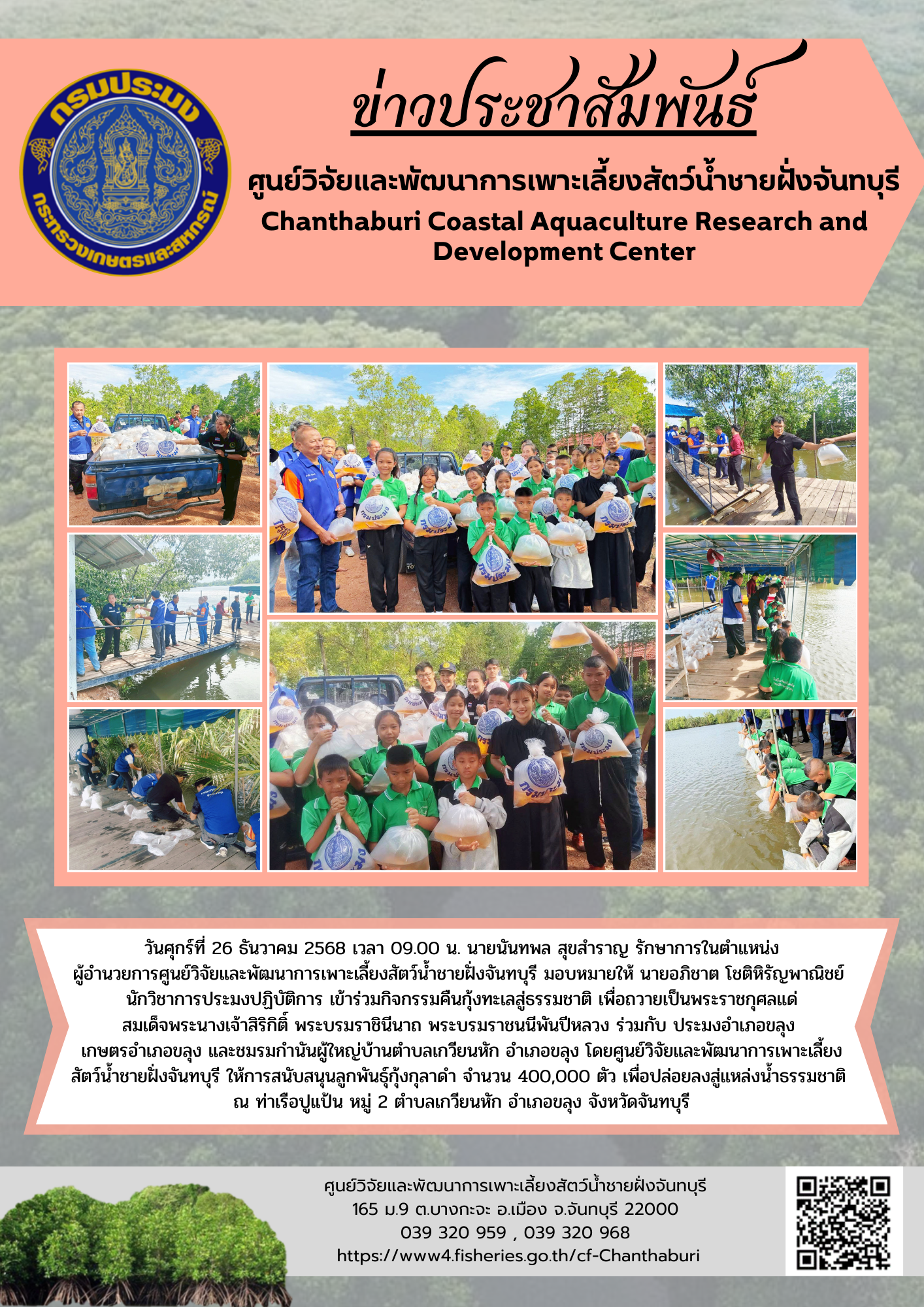 ศูนย์วิจัยและพัฒนาการเพาะเลี้ยงสัตว์น้ำชายฝั่งจันทบุรี ให้การสนับสนุนลูกพันธุ์กุ้งกุลาดำ เพื่อปล่อยลงสู่แหล่งน้ำธรรมชาติ..คลิก