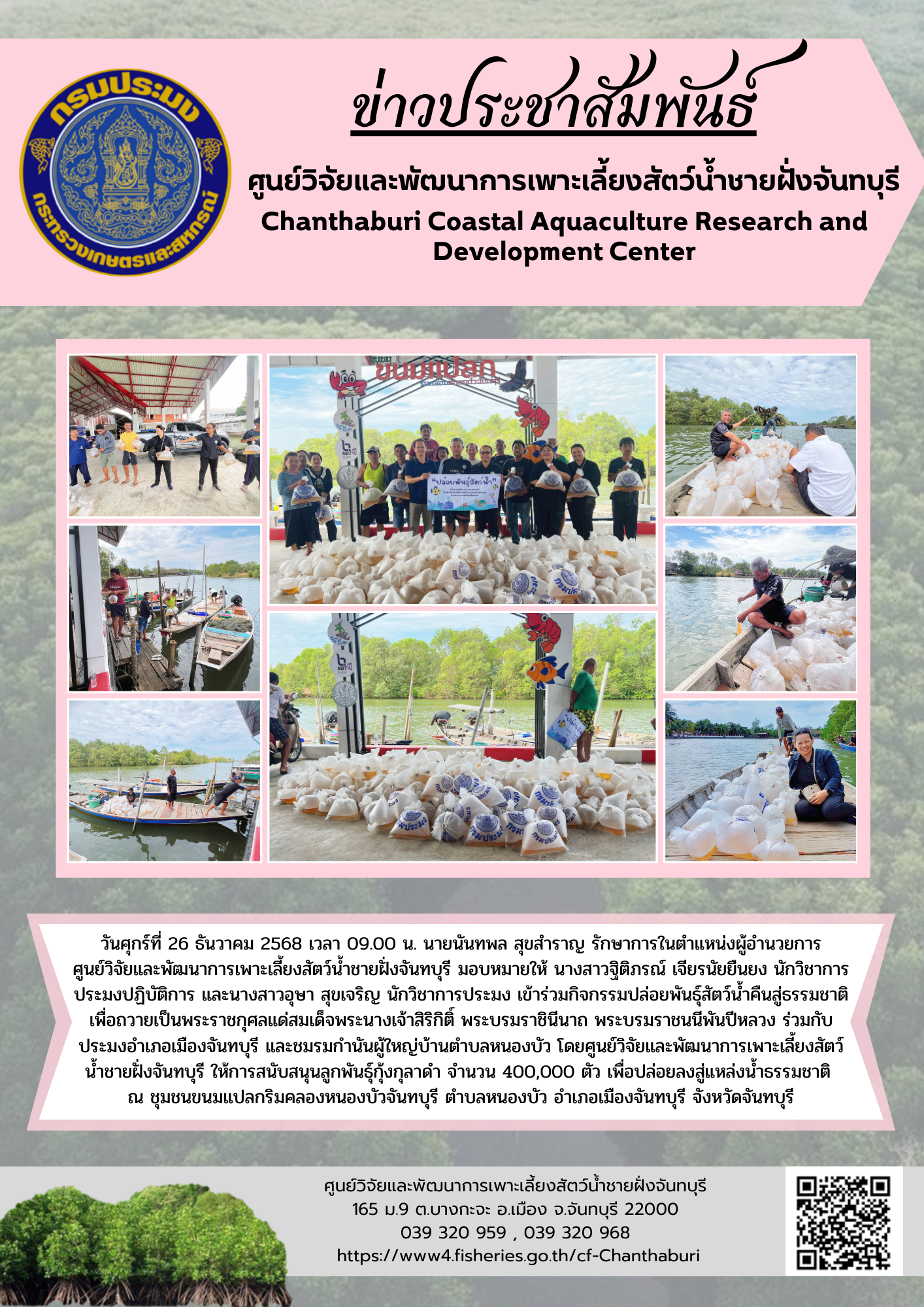 ศูนย์วิจัยและพัฒนาการเพาะเลี้ยงสัตว์น้ำชายฝั่งจันทบุรี ให้การสนับสนุนลูกพันธุ์กุ้งกุลาดำ เพื่อปล่อยลงสู่แหล่งน้ำธรรมชาติ..คลิก