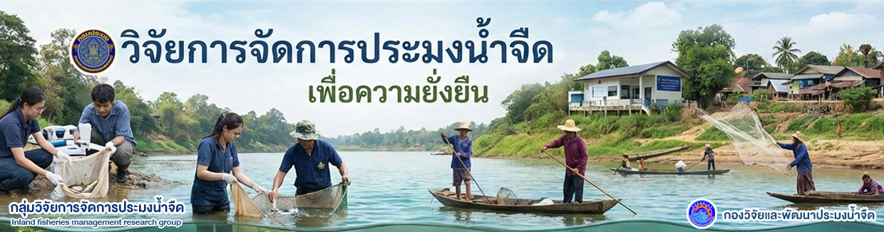 แบนเนอร์4