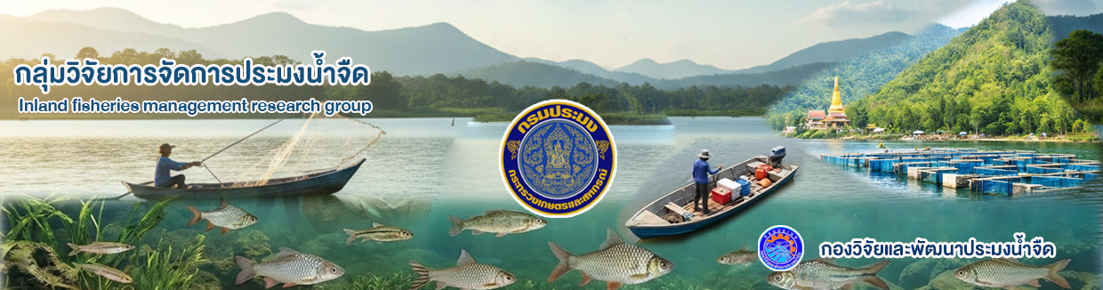 แบนเนอร์3