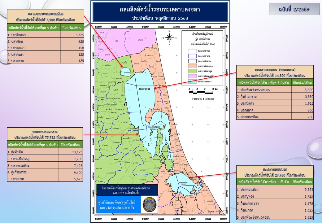 สภาวะสัตว์น้ำรอบทะเลสาบสงขลา เดือนพฤศจิกายน 2568