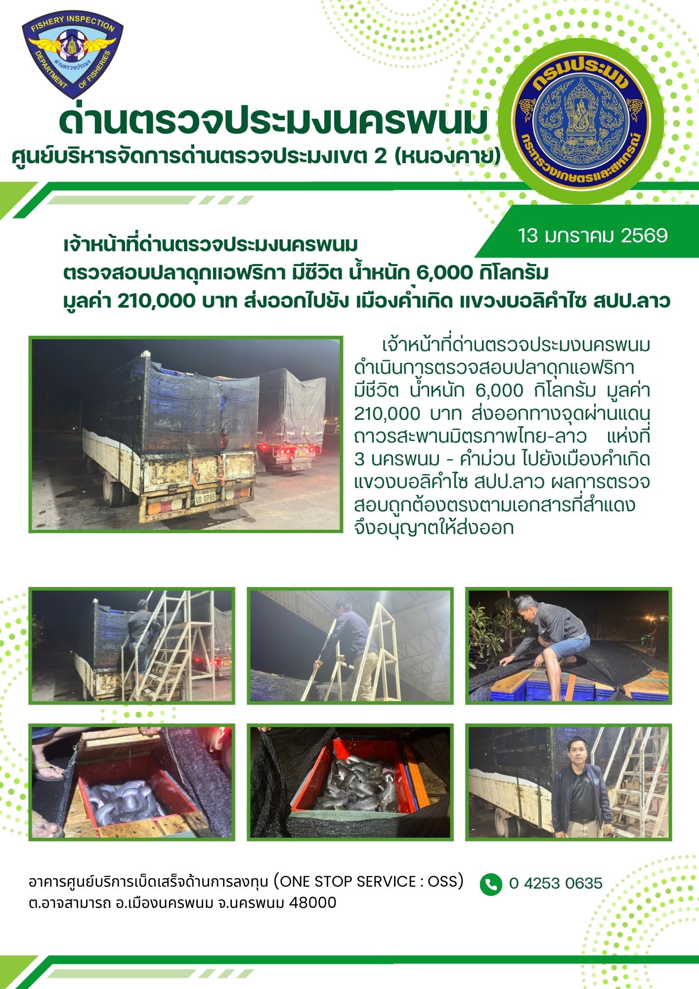 ข่าวกิจกรรมการดำเนินงาน : วันที่ 13 มกราคม 2569 เจ้าหน้าที่ด่านตรวจประมงนครพนม ตรวจสอบปลาดุกแอฟริกา มีชีวิต น้ำหนัก ุ6,000 กิโลกรัม  มูลค่า 210,000 บาท ส่งออกไปยัง เมืองคำเกิด แขวงบอลิคำไซ สปป.ลาว