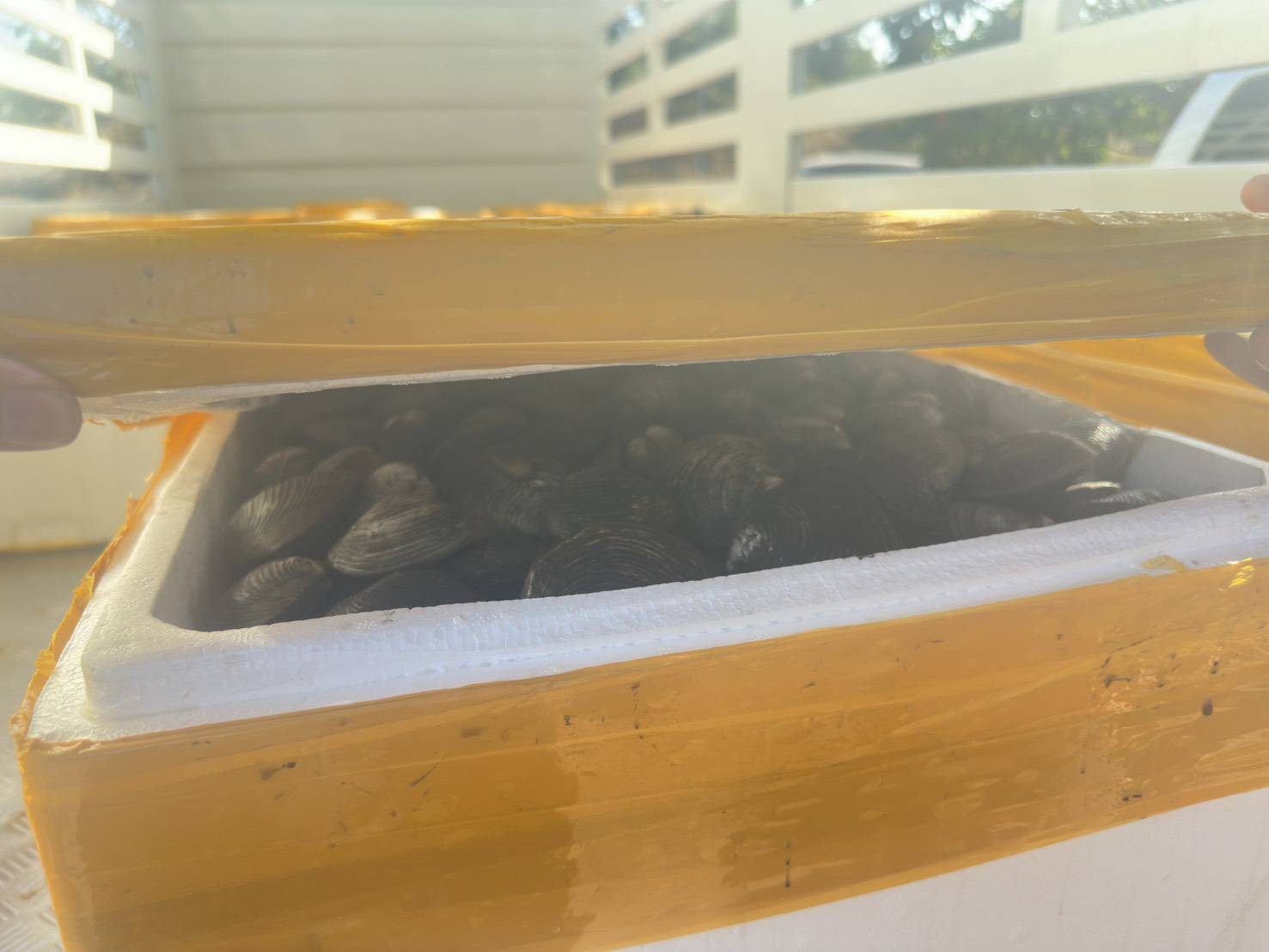 รูป ประกอบบทความ1