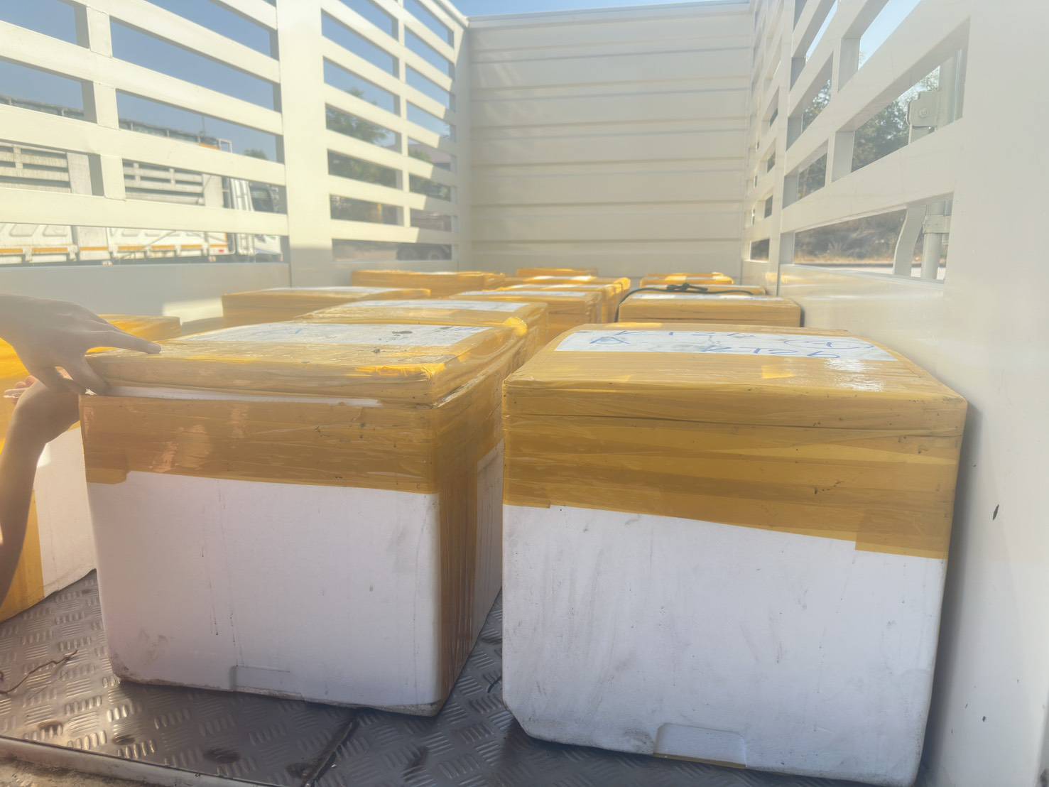 รูป ประกอบบทความ2