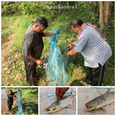 ผลการปฏิบัติงานประจำวันอังคารที่ 13 มกราคม 2569..คลิก