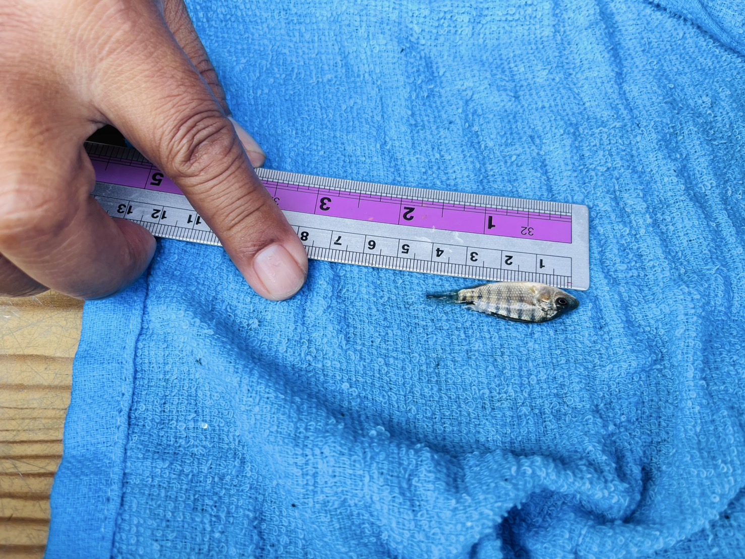 รูป ประกอบบทความ3