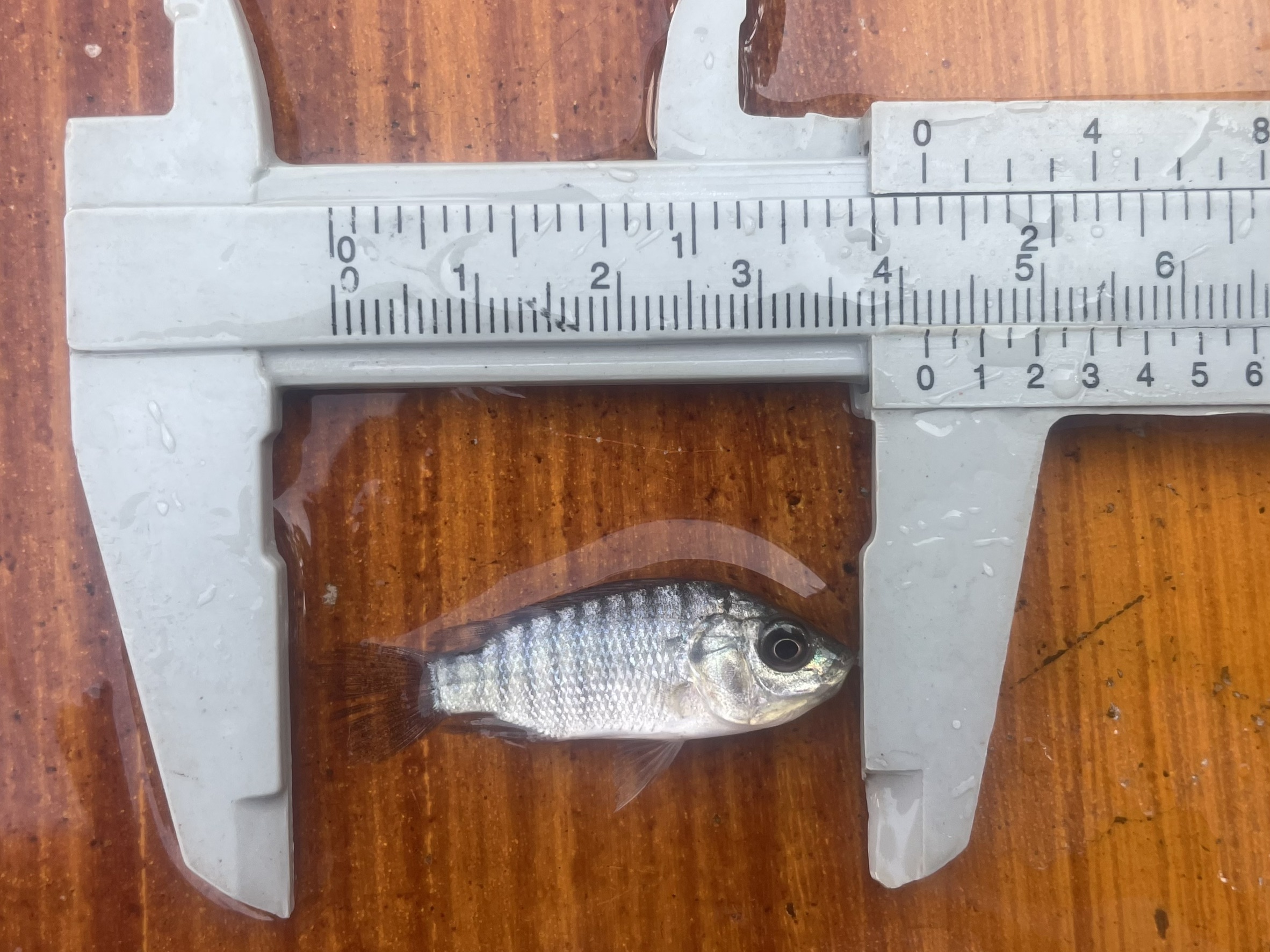 รูป ประกอบบทความ9