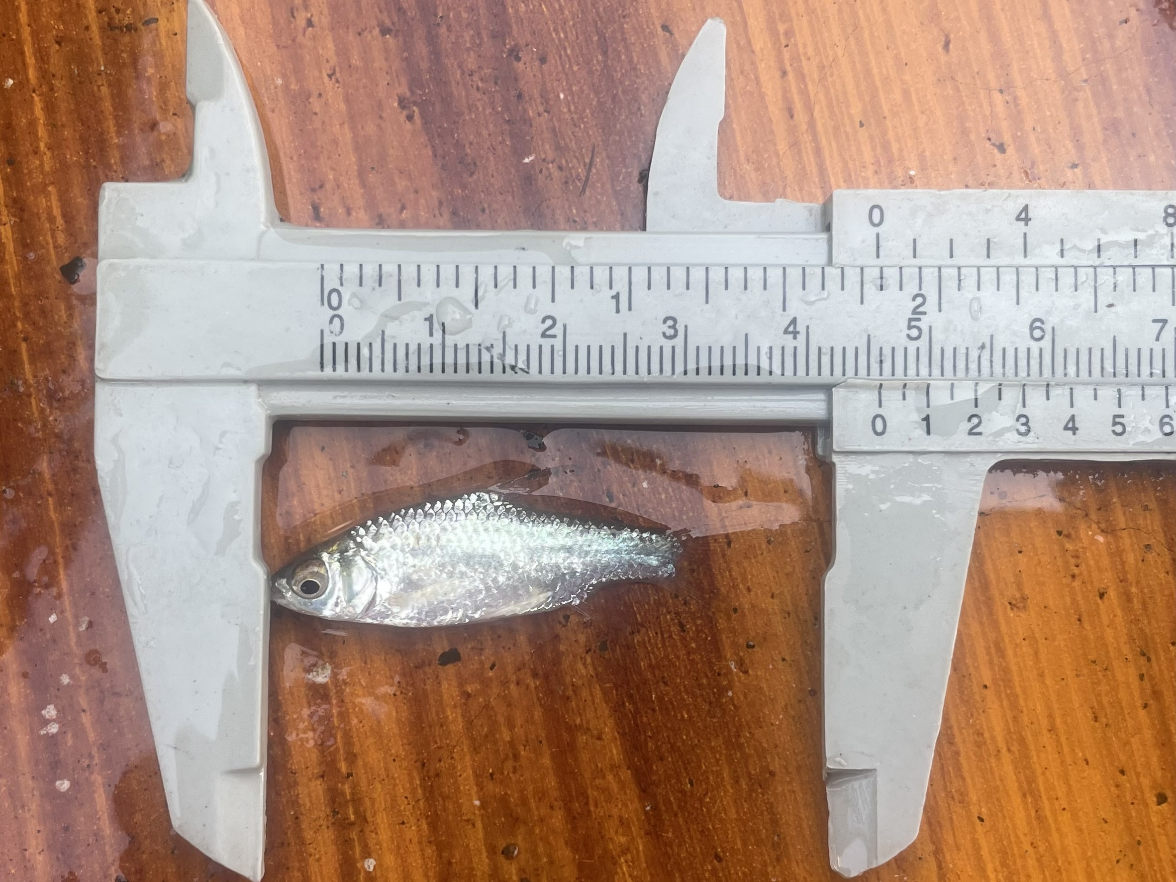 รูป ประกอบบทความ1