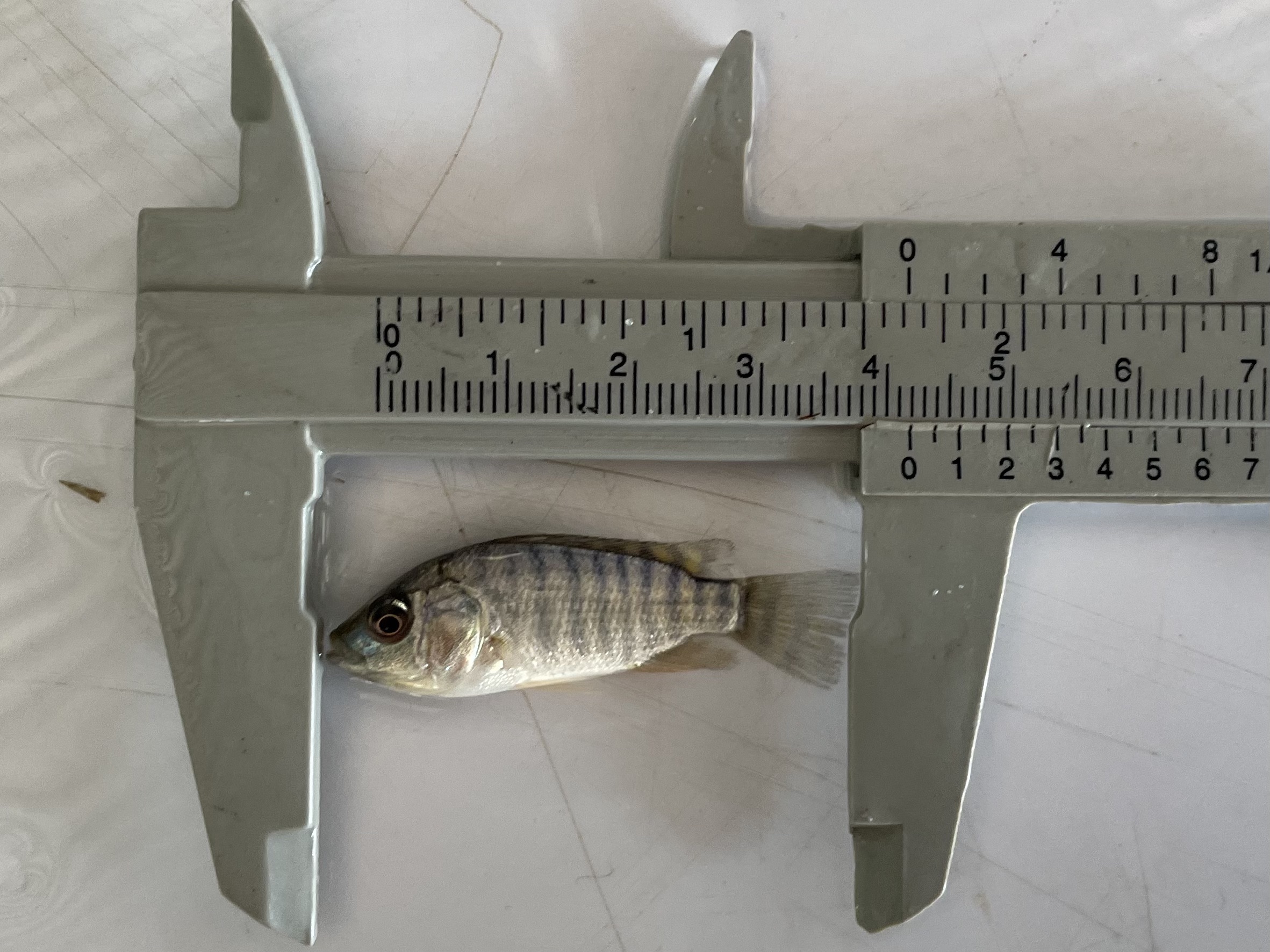 รูป ประกอบบทความ3