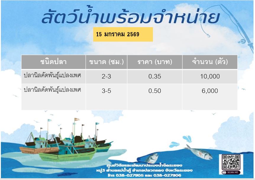 สัตว์น้ำพร้อมจำหน่าย วันที่ 15 มกราคม 2569