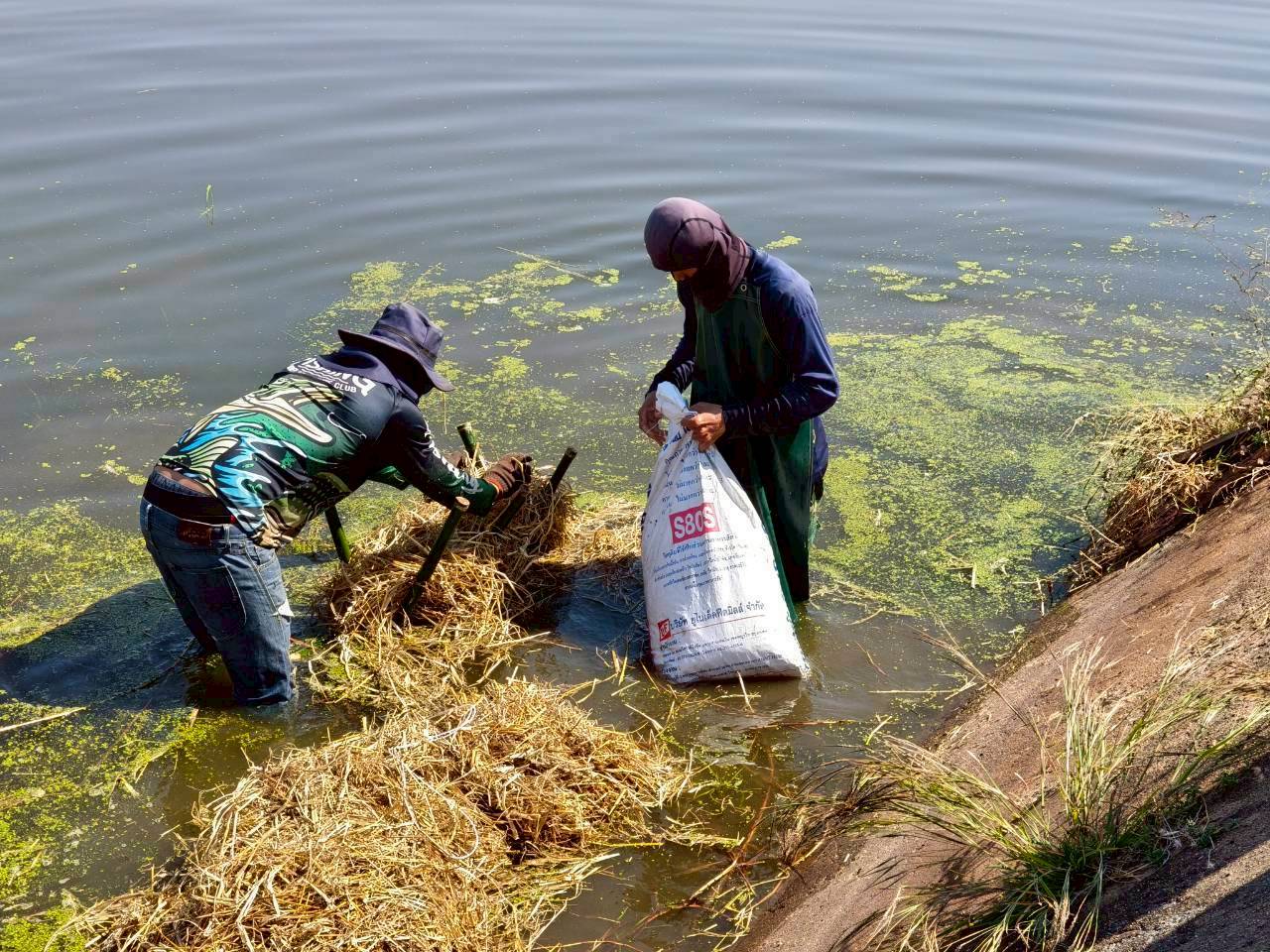 รูป ประกอบบทความ15