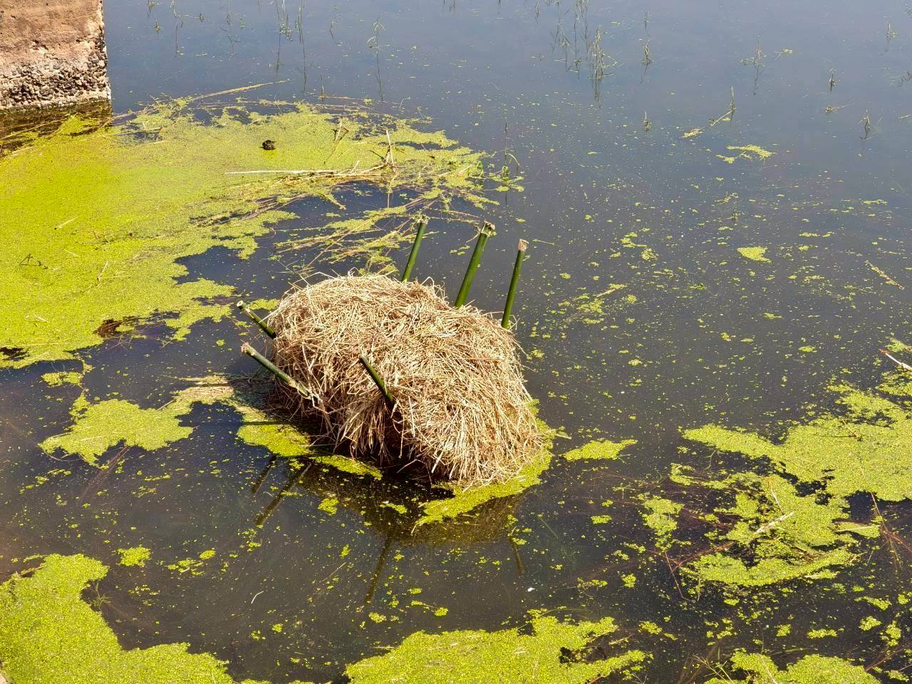 รูป ประกอบบทความ13