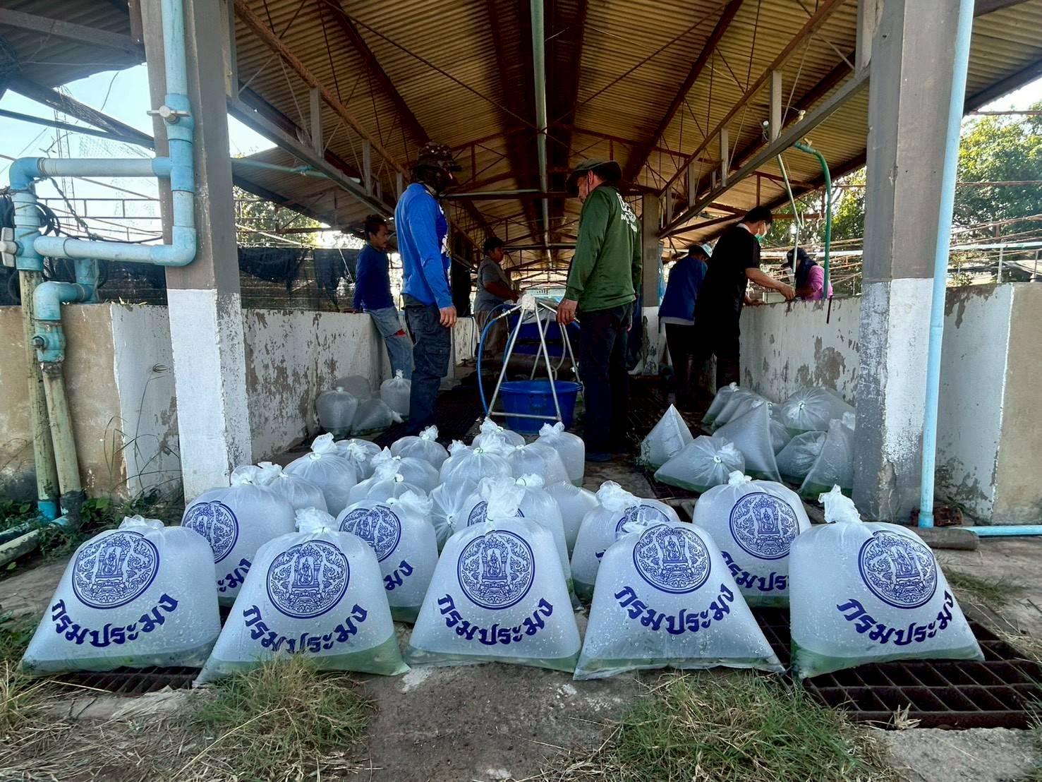 รูป ประกอบบทความ14