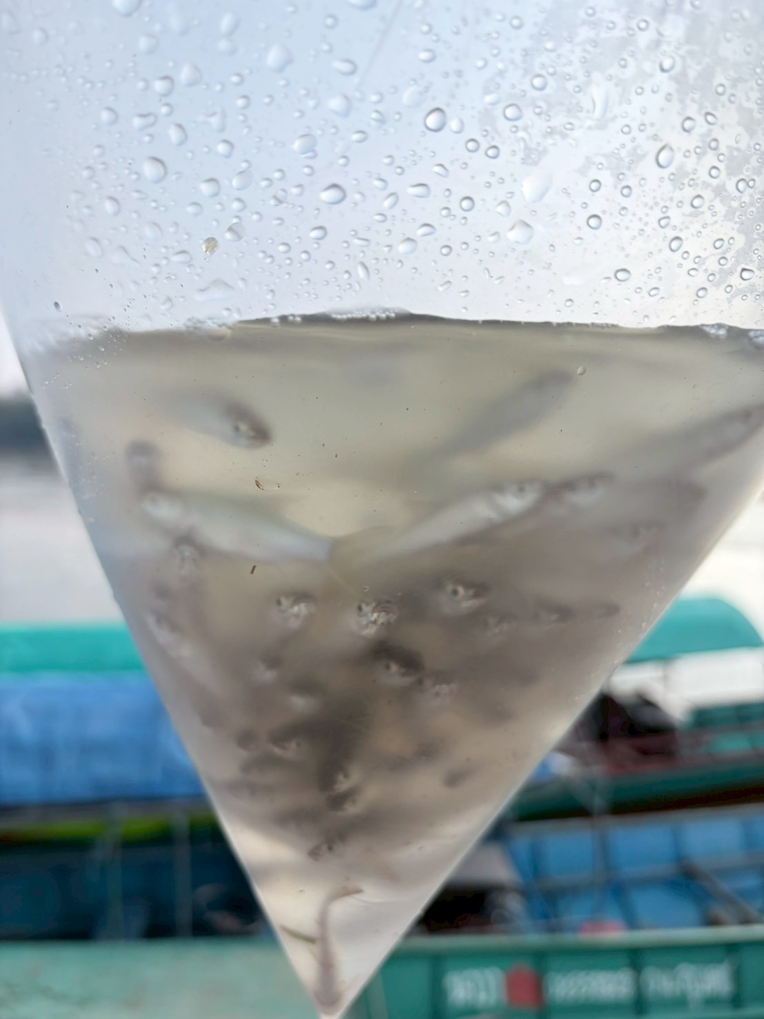 เจ้าหน้าที่ศูนย์บริหารจัดการด่านตรวจประมง เขต 1 (เชียงราย) ตรวจสอบสินค้าประมงส่งออก..คลิก