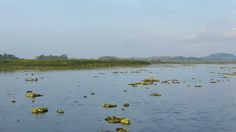 ดำเนินการประเมินสถานภาพทรัพยากรสัตว์น้ำในทะเลน้อย จังหวัดพัทลุง