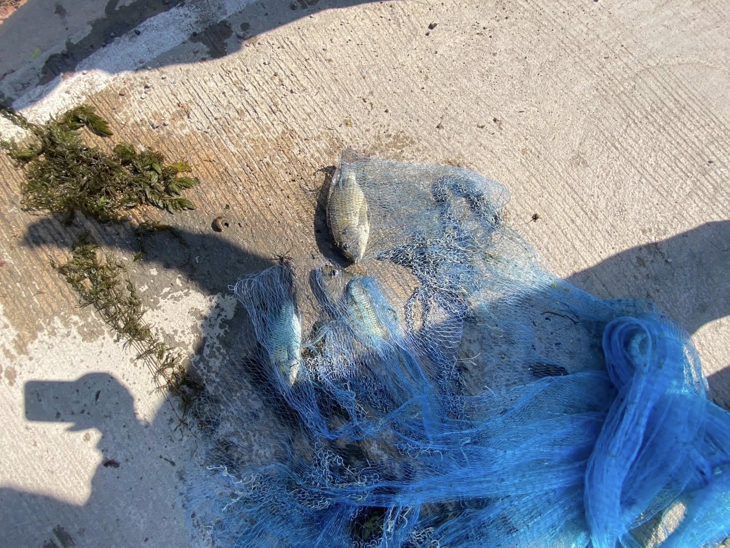 รูป ประกอบบทความ2