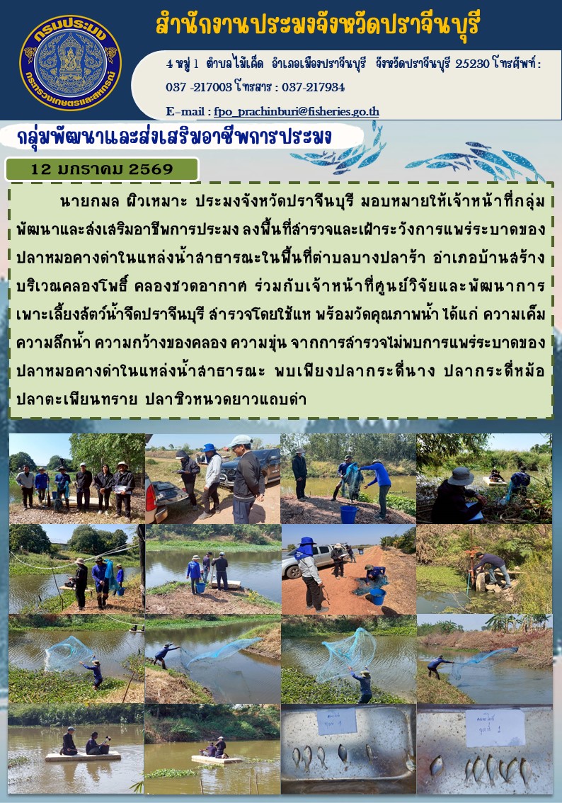 ข่าวประชาสัมพันธ์ กลุ่มพัฒนาแล