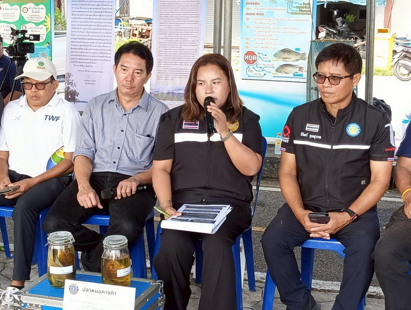 รูป ประกอบบทความ4