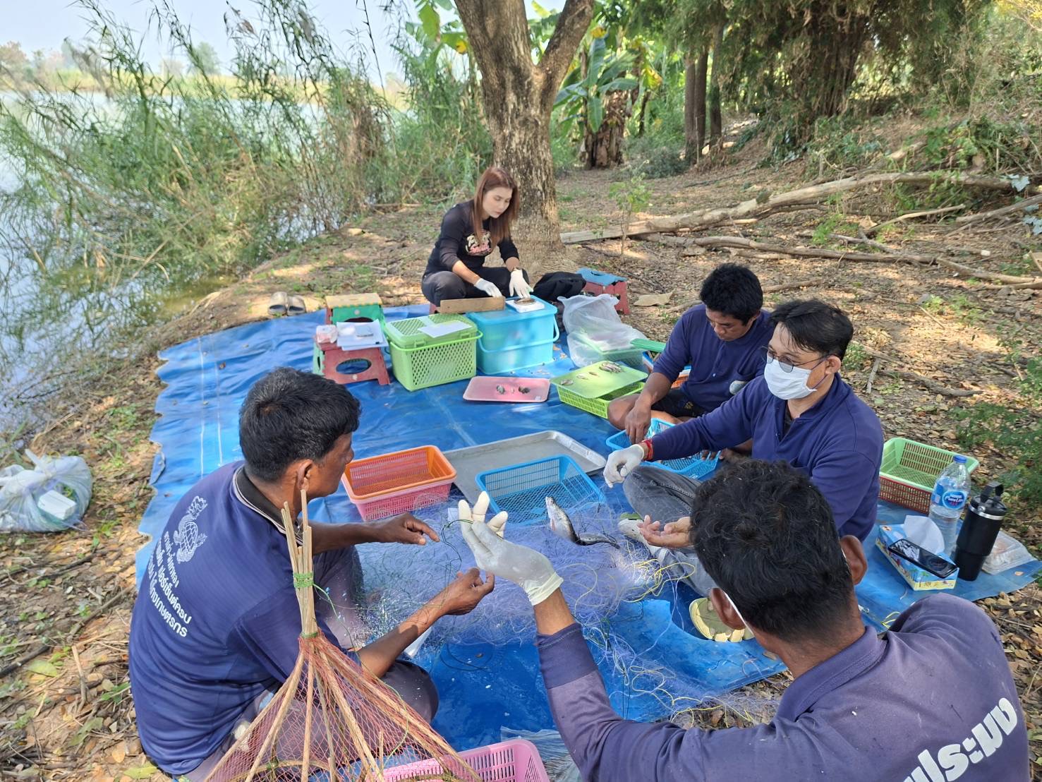 ศปจ.นครสวรรค์ ดำเนินการสุ่มเก็บตัวอย่างสัตว์น้ำด้วยวิธีการประเมินผลจับสัตว์น้ำต่อหน่วยการลงเเรงประมง (Catch per unit of effort (CPUE)) ด้วยชุดเครื่องมือข่ายเเละลอบ ในโครงการบริหารจัดการทรัพยากรประมง กิจกรรมเพิ่มผลผลิตสัตว์น้ำในแหล่งน้ำชุมชนเพื่อสร้างรายได้และลดค่าครองชีพของประชาชน ประจำปี 2569