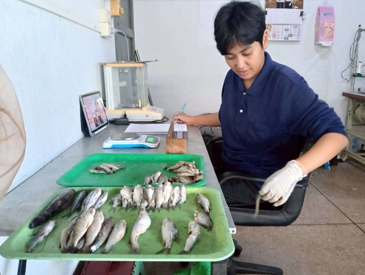 ศปจ.นครสวรรค์ ดำเนินการประเมินทรัพยากรสัตว์น้ำในแหล่งน้ำครั้งที่ 1  ในพื้นที่บึงบอระเพ็ด จังหวัดนครสวรรค์ และพื้นที่แม่น้ำปิง จังหวัดกำแพงเพชร และจังหวัดนครสวรรค์