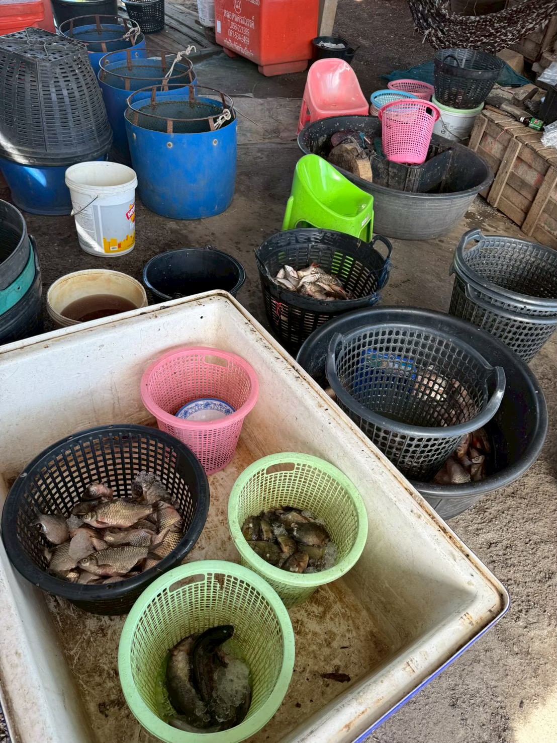 ศปจ.นครสวรรค์ ดำเนินการสำรวจและรวบรวมข้อมูลสภาวะทรัพยากรและการประมงจากชาวประมงและท่าขึ้นปลาเพื่อประเมินผลจับสัตว์น้ำ ประจำเดือนมกราคม 2569