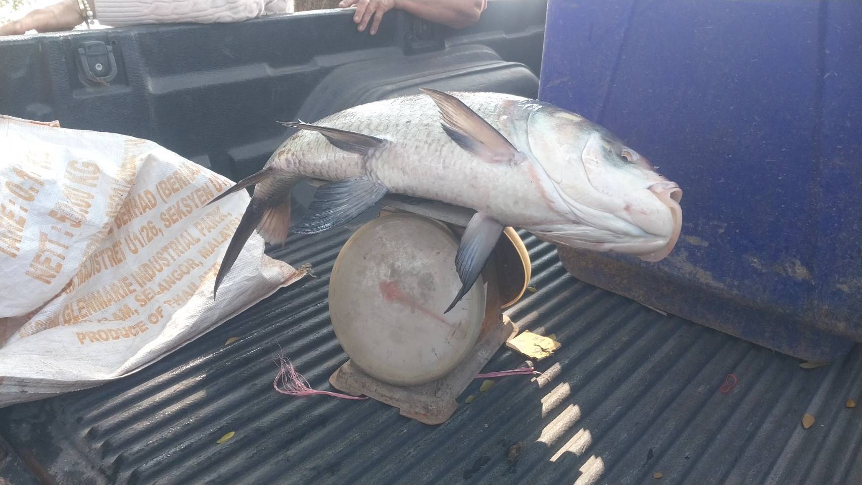 ติดตามการจับสัตว์น้ำโครงการบริหารจัดการทรัพยากรประมง กิจกรรมบริหารจัดการทรัพยากรประมงน้ำจืด การเพิ่มผลผลิตสัตว์น้ำในแหล่งน้ำชุมชนเพื่อเพิ่มรายได้ และลดค่าครองชีพของประชาชน ปีงบประมาณ 2568