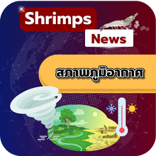 น้ำท่วมภาคใต้ไทยกระทบเกษตรกรกุ้งกว่า 10,000 ราย ความเสียหายกว่า 1 พันล้านบาท