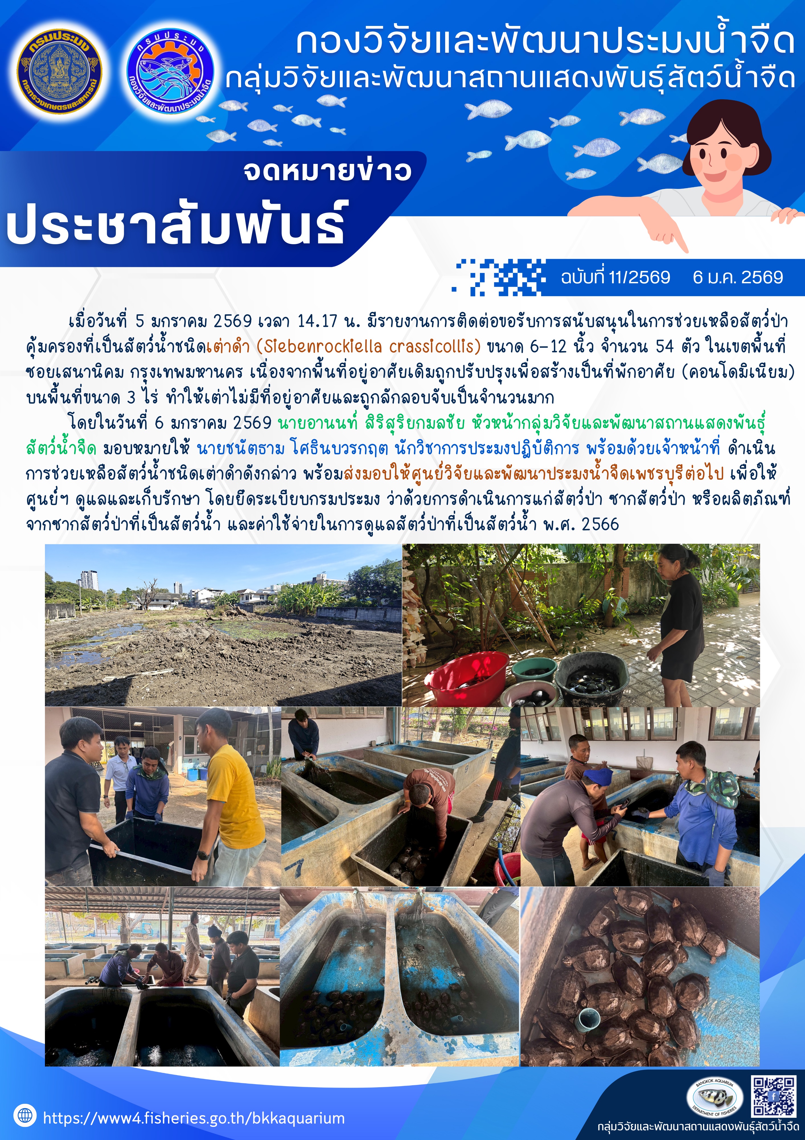 การช่วยเหลือสัตว์ป่าคุ้มครองที่เป็นสัตว์น้ำชนิดเต่าดำ (Siebenrockiella crassicollis)