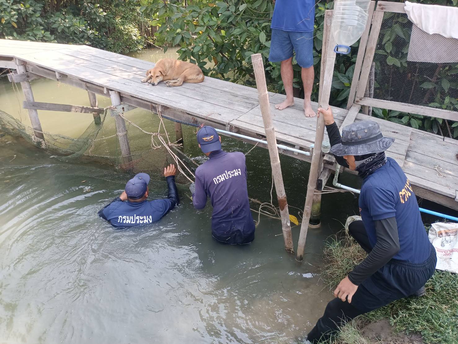 ร่วมกิจกรรมลงแขกลงคลองเพื่อกำจัดปลาหมอคางดำ ร่วมกับ FC ประมงจังหวัดสมุทรสาคร กรมทหารสื่อสารที่1 เรือนจำกลางจังหวัดสมุทรสาคร..คลิก