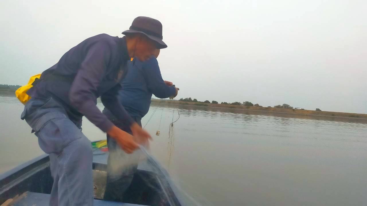 ศูนย์ป้องกันและปราบปรามประมงน้ำจืดนครราชสีมา ออกปฏิบัติงานควบคุมเฝ้าระวังการทำการประมงผิดกฎหมาย ในพื้นที่บริเวณอ่างเก็บน้ำลำสำลาย ตำบลตะขบอำเภอปักธงชัย จังหวัดนครราชสีมา..คลิก