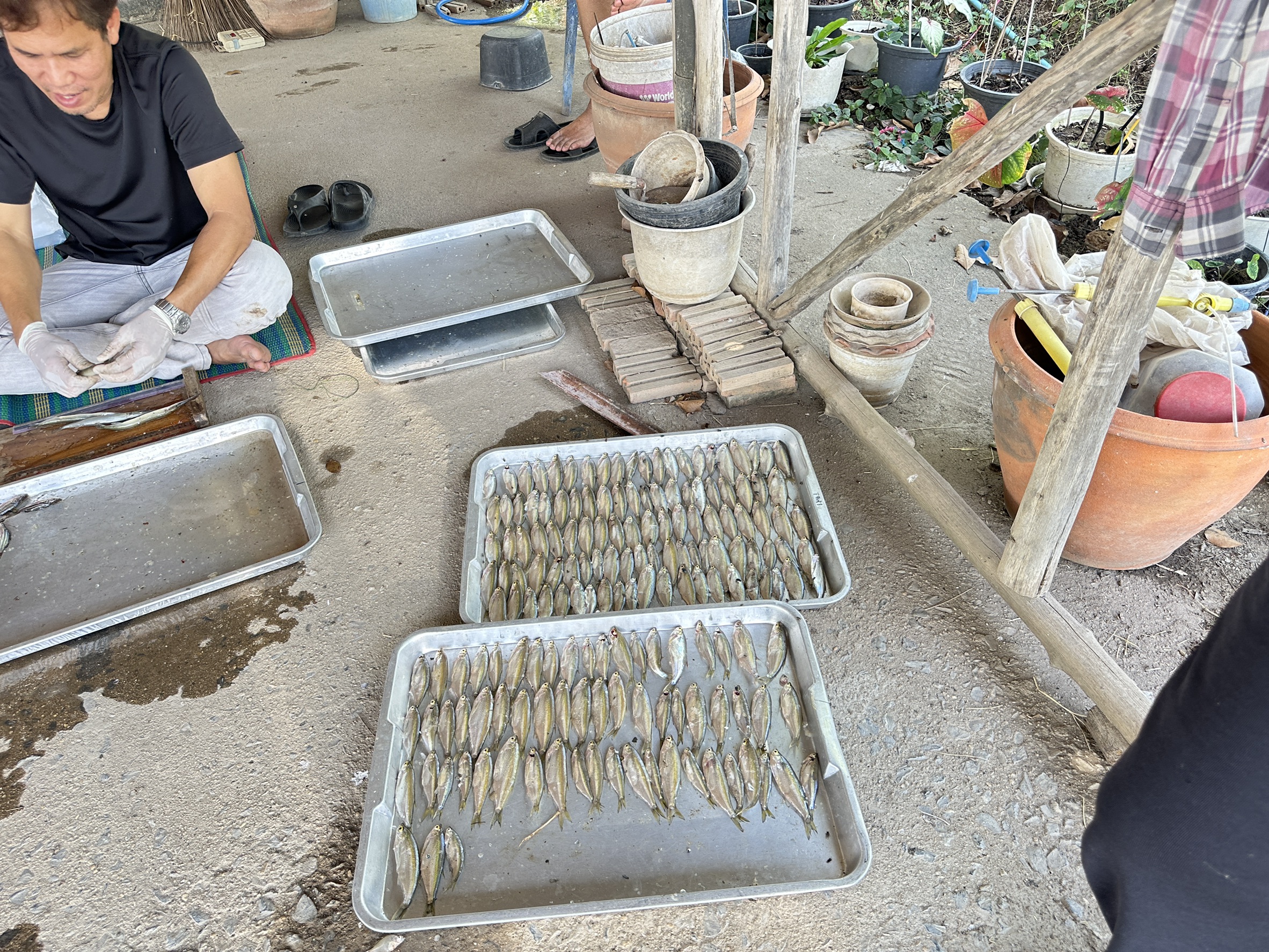 รูป ประกอบบทความ5