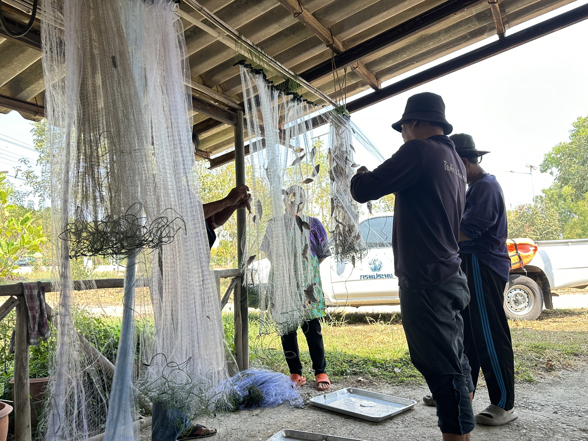 รูป ประกอบบทความ10