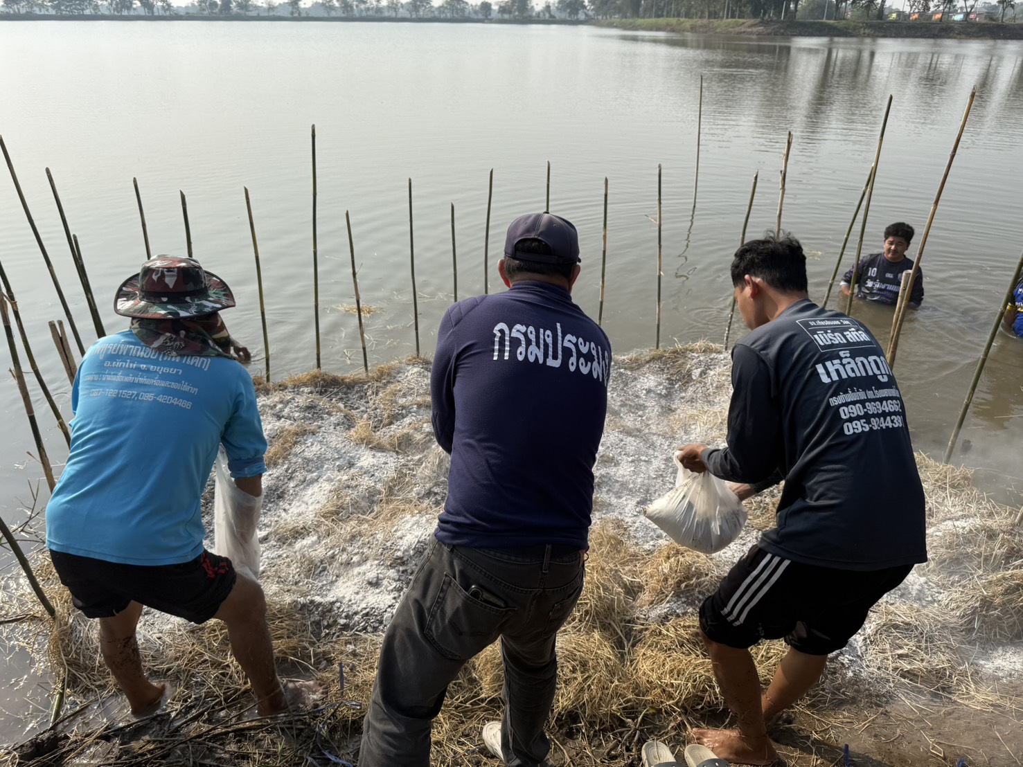 รูป ประกอบบทความ6