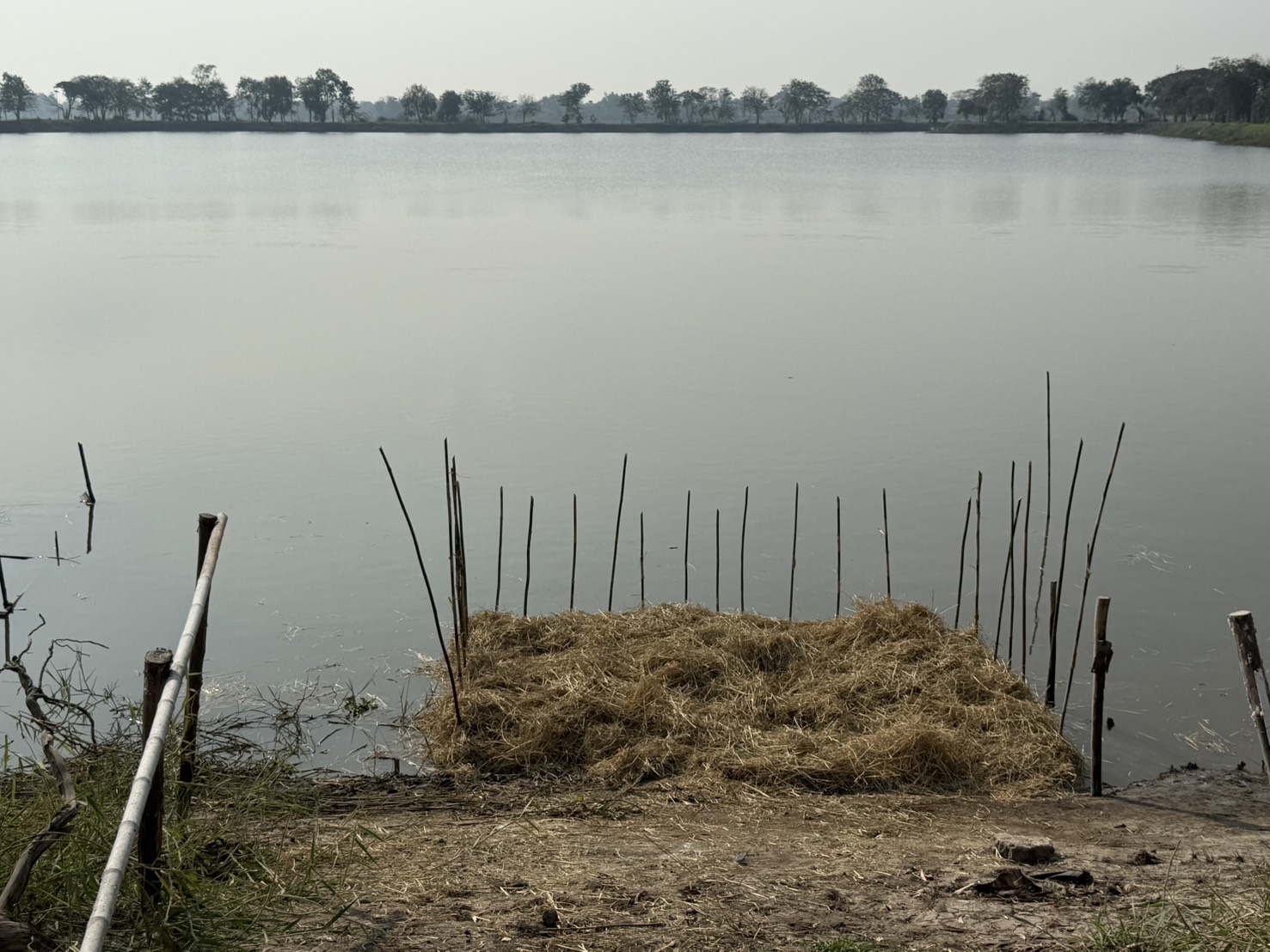 รูป ประกอบบทความ16