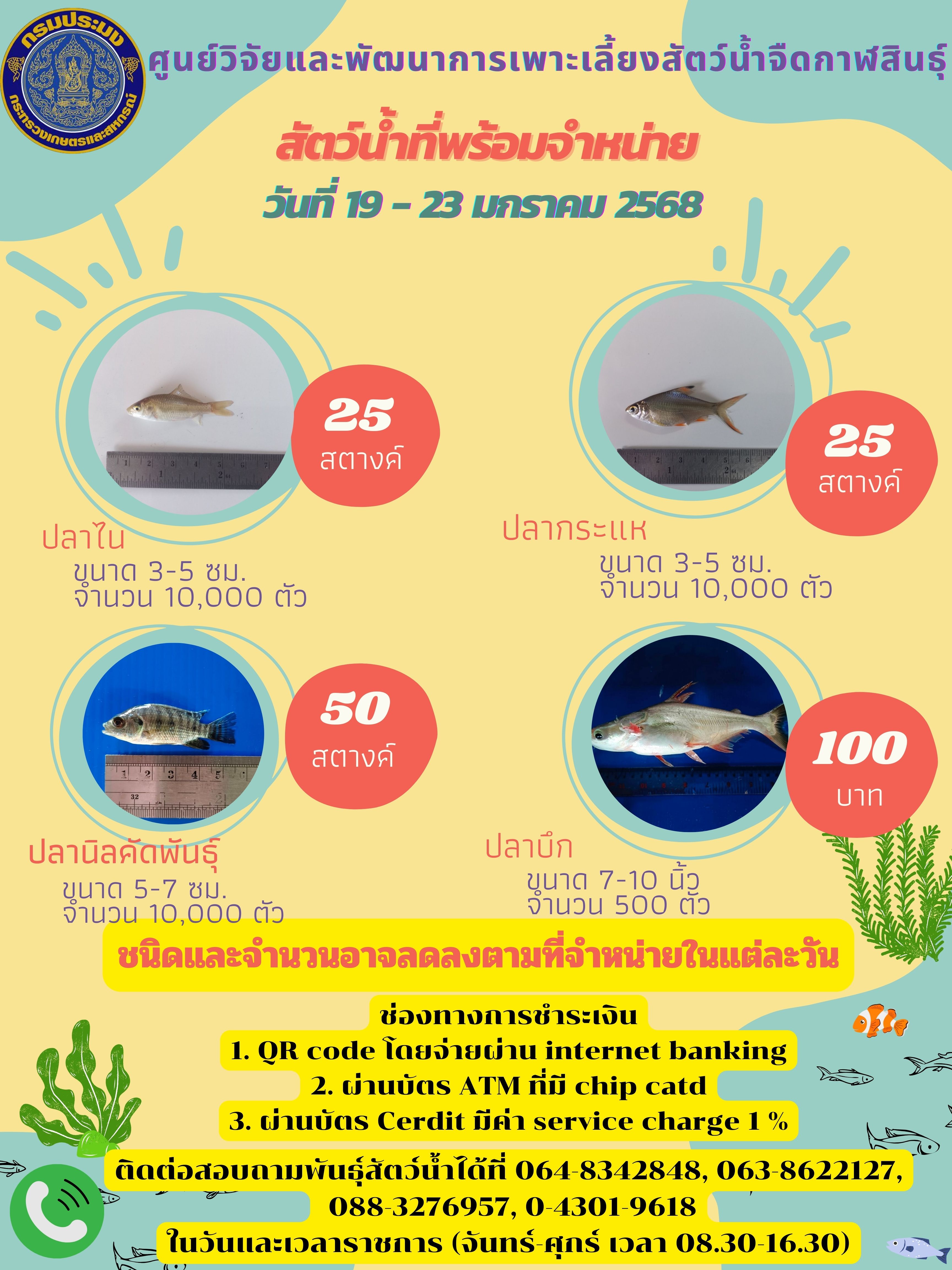 สัตว์น้ำที่พร้อมจำหน่าย