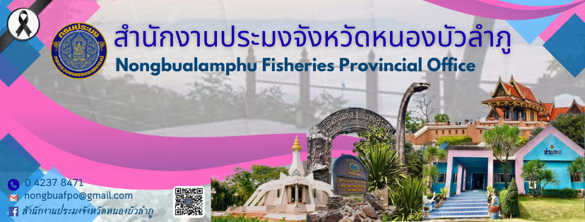 แบนเนอร์