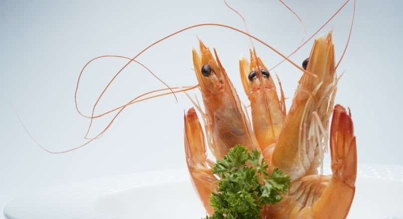 ราคากุ้งที่เอกวาดอร์ส่งออกไปยังจีนลดลง