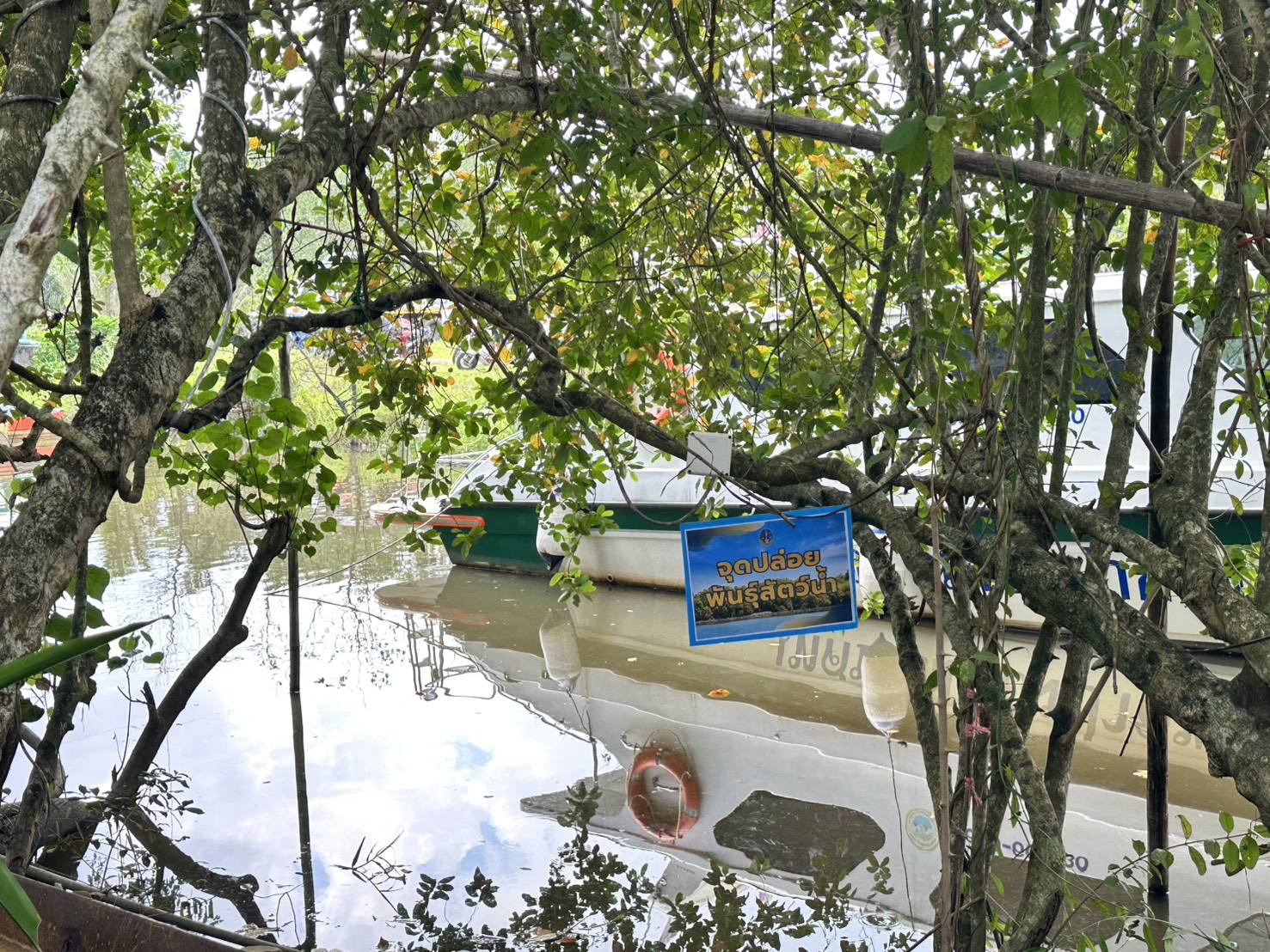 ปล่อยพันธุ์สัตว์น้ำและปลูกป่าชายเลน เพื่อถวายเป็นพระราชกุศลแด่ สมเด็จพระนางเจ้าสิริกิติ์ พระบรมราชินีนาถ พระบรมราชชนนีพันปีหลวงในห้วงระยะเวลา 100 วันแห่งการสวรรคต 